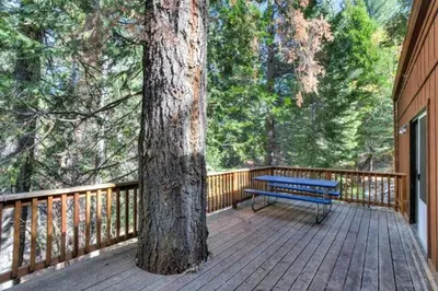 a blue bench sitting on a deck next to a tree at Forest Glen in Yosemite West
