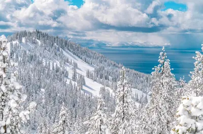 a mountain covered in snow with trees and water at Maison de Montagne in Incline Village