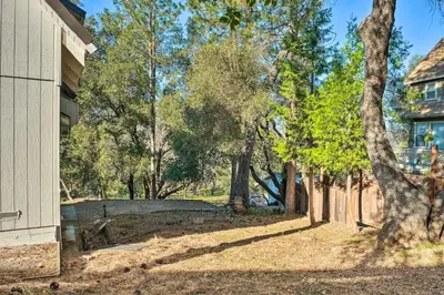 a yard next to a house with trees at Modern Groveland Chalet about 25 Mi to Yosemite! in Groveland