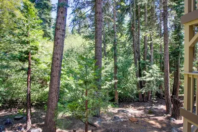 a view of the woods from the porch of a house at Kingswood Village 2 in Kings Beach