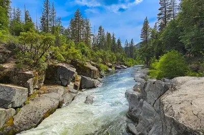 a river with rocks and trees on the side at Majestic Mountain in Dorrington