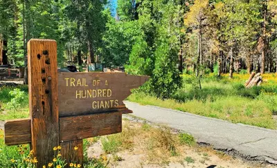 a sign that reads trail of a hingedhibited games at Sequoia Trails, mountains, fun & relax in Ponderosa