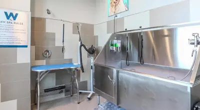 a hospital room with a sink and a stool at Chic Apt with Jacuzzi, Pool Nr Casino & Shopping in Sparks