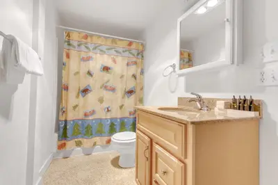 a bathroom with a toilet and a shower curtain at Stylish, Remodeled Condo - Creekside #14 in Bear Valley