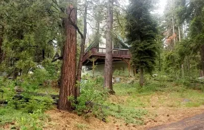 a house with a bridge in the middle of a forest at Spacious Cabin Sleeps up to 12 - Sky High #86 in Bear Valley
