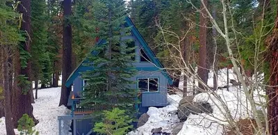 a blue house in the middle of a forest at Multi-Family Cabin in Great Location #183 in Bear Valley