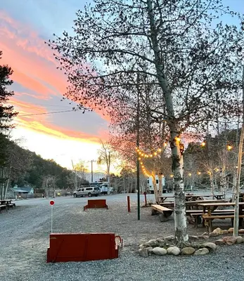a tree and picnic tables in a parking lot with a sunset at Willow Springs Resort in Bridgeport