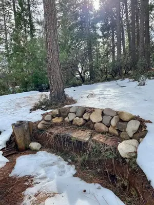 a rock wall around a tree in the snow at Bearvista in Arnold
