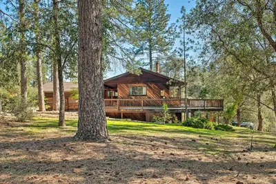a log cabin in the woods with a tree at Groveland Cabin with Outdoor Perks and Game Room in Groveland