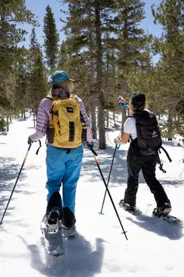 two people on skis in the snow with trees at The Incline Lodge in Incline Village