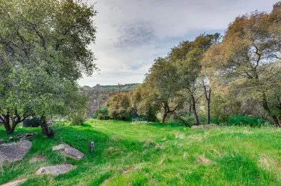 a green field with trees and grass and rocks at Luxury Auberry Retreat in Sierra National Forest in Auberry