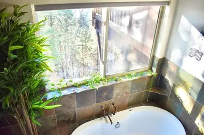 a bathroom with a sink and a window with plants at Sweet getaway in private Giant Sequoia Grove! in Springville