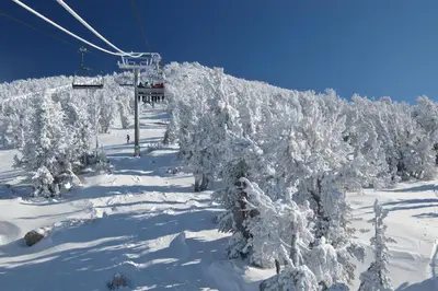 a ski lift with snow covered trees on a ski slope at Bitterbrush 25 in Incline Village