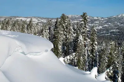 a snow covered forest with trees in the background at Scott Peak Lodges Condo in Alpine Meadows