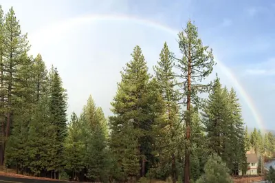 a rainbow over a forest of pine trees at Walk-Friendly Truckee House in Truckee