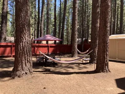 a hammock in the middle of a forest with trees at Genoa Haven in South Lake Tahoe