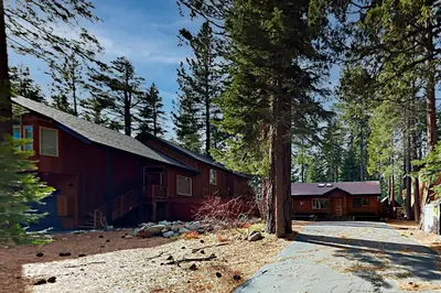 a cabin in the middle of a forest at Westshore Oasis in Tahoma