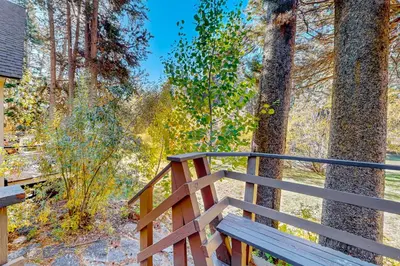 a wooden bench in the middle of a forest at Sky Meadows Charmer in South Lake Tahoe