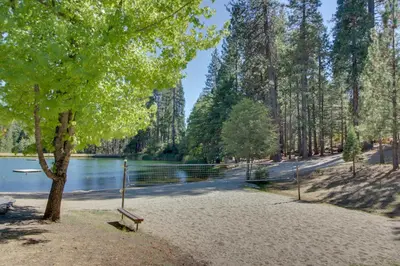 a park with a bench and a tree and water at Dollhouse in Arnold