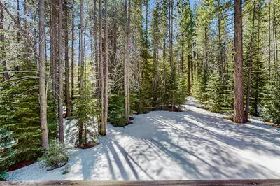 a snow covered road in a forest with trees at Miztec Charms in South Lake Tahoe