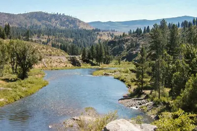 a river in the middle of a valley with trees at Muhlebach Haven in Truckee