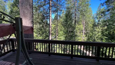 a view from the deck of a cabin with a tree at Cozy Cabin in Arnold ! in Arnold