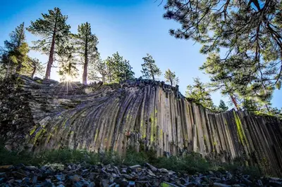 a wooden fence with trees on top of a hill at Chamonix 6 in Mammoth Lakes