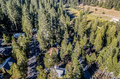 an overhead view of a forest of trees at Furnished Deck High Sierra Cabin in Twain Harte! in Twain Harte