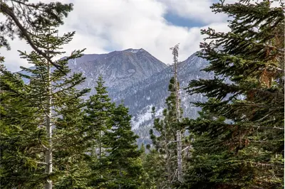 a view of a mountain through some trees at Mountainback 100 in Mammoth Lakes