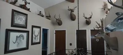 a hallway with some deer heads on the wall at Rustic Rooms by Kings Canyon & Sequoia National Parks in Squaw Valley