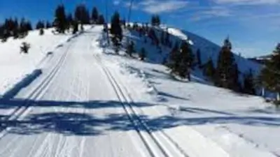 a snow covered road with tracks in the snow at Black Bear by AvantStay Spacious Viking Lodge in Tahoe Donner w Game Room Hot Tub in Truckee
