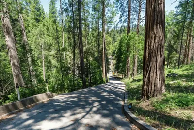 a road in the middle of a forest with trees at Miner's Claim - Home with 2 Decks & Pool in Groveland