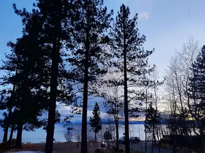 a group of trees in front of a body of water at Lakeside hotel room #1 in Kings Beach in Kings Beach