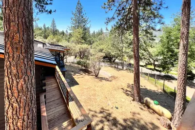 a porch of a cabin in the woods with trees at Sugar Pine Log Cabin in Oakhurst