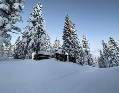 a cabin in a snowy forest with snow covered trees at Amazing Architecture - Views all around VH#113 in Tamarack