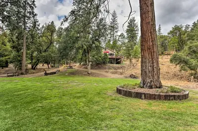 a tree in a park with a house in the background at Rustic Oakhurst Retreat Less Than 4 Mi to Bass Lake! in Oakhurst