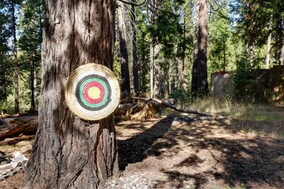 a frisbee hanging on a tree in the woods at Near Hikes Arnold Cabin with EV Charger and Fire Pit in Arnold