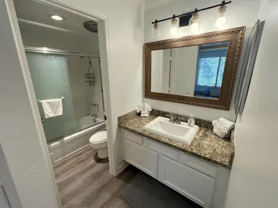 a bathroom with a sink and a toilet and a mirror at 118 Standard home in Mammoth Lakes