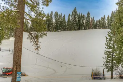 a snow covered slope with trees in the background at Granlibakken Getaway - #72A in Tahoe City