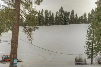 a snow covered slope with trees in the background at Granlibakken Gem - Unit 71 in Tahoe City
