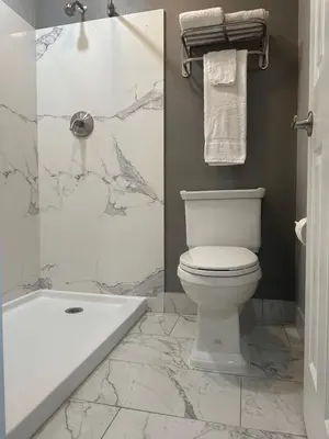 a bathroom with a white toilet and a shower at ROYAL MOTEL TRACY in Tracy