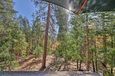 a view of a forest from under an umbrella at Deck with Forest Views Quiet Twain Harte Cabin! in Twain Harte