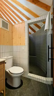 a bathroom with a toilet and a shower at Desolation Hotel Hope Valley in Markleeville