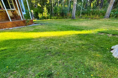 a yard with green grass and a house at A Bear's Rest in Homewood