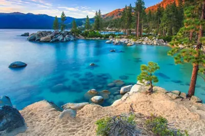 a lake with a tree on the shore at Lake Views in 3bdr Family Home w/ Hottub in South Lake Tahoe