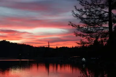 a sunset over a body of water with a tree at Eagles Nest at Bass Lake near Yosemite with Boat Dock in Bass Lake