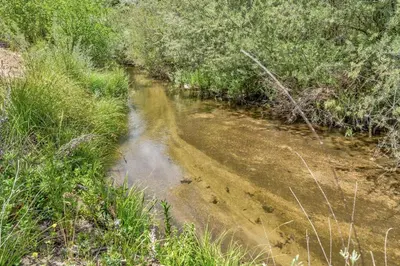 a small stream in the middle of a field at River View Retreat Sleeps 16/ hot tub/basketball court in Oakhurst