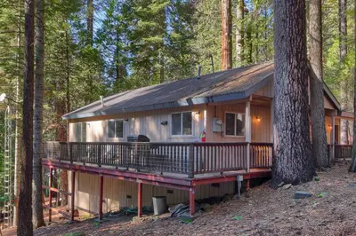 a cabin in the woods with a large tree at Hibernation Hideaway- Inside Yosemite- Dog Friendly in South Wawona