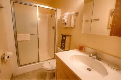 a bathroom with a shower and a sink and a toilet at Whispering Wood home in Incline Village