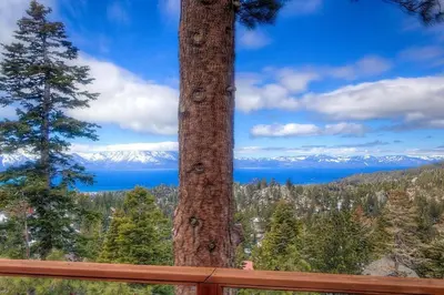 a tree with a view of the mountains and water at Lakescape condo in Stateline
